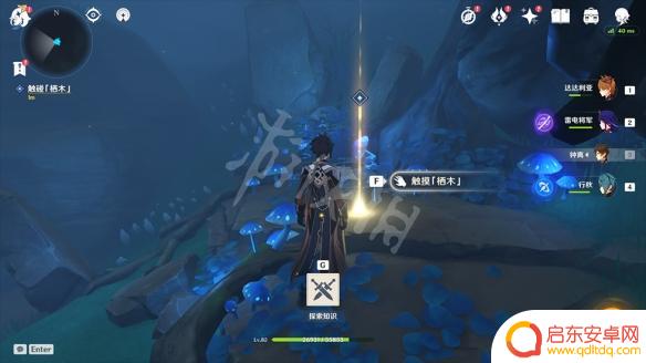 原神迷雾栖木解密第三个 《原神》鹤观岛供奉栖木任务玩法介绍