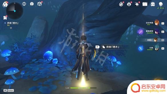 原神迷雾栖木解密第三个 《原神》鹤观岛供奉栖木任务玩法介绍