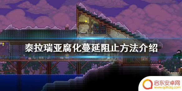泰拉瑞亚如何防止地下腐化 泰拉瑞亚腐化蔓延阻止方法