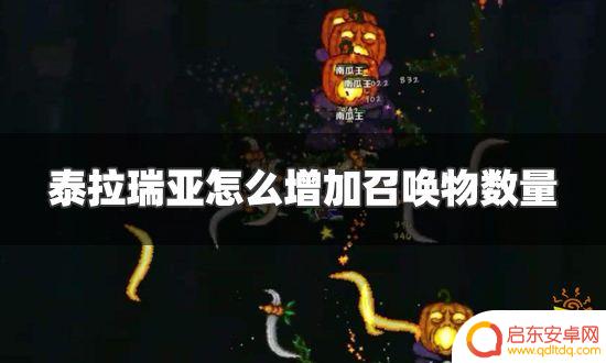 泰拉瑞亚怎么增加饰品数量 泰拉瑞亚如何增加召唤物数量