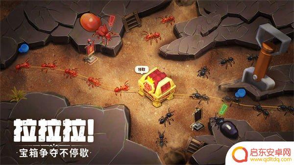 蚁族崛起活动规律 蚁族崛起抽奖活动报名时间