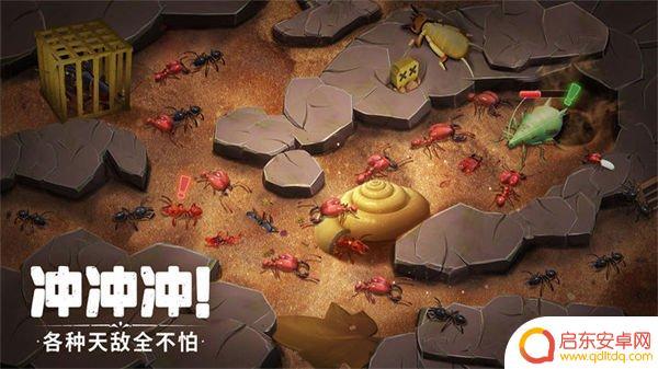 蚁族崛起活动规律 蚁族崛起抽奖活动报名时间