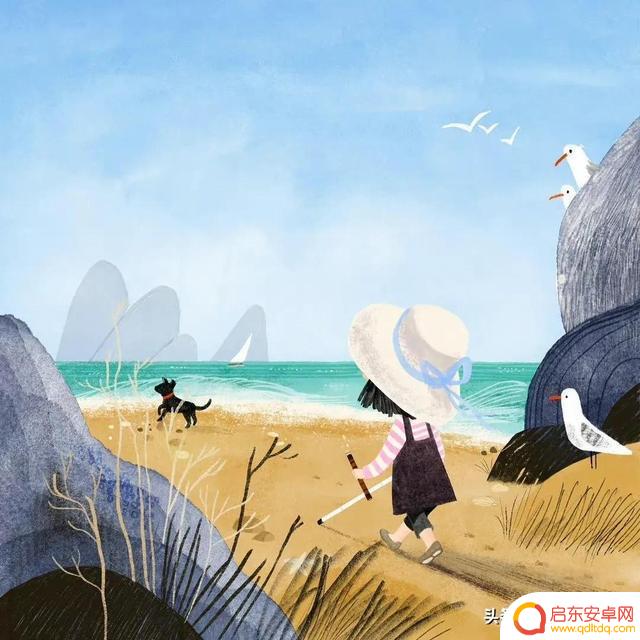 抖音土耳其pelin是谁(土耳其抖音网红)