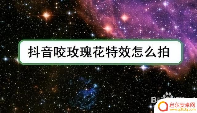 怎样拍摄花卉抖音(怎样拍摄抖音短视频并发送)