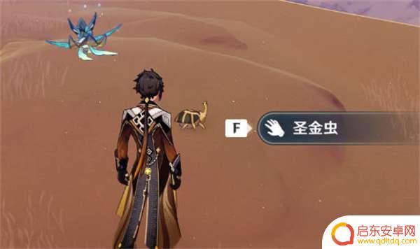 原神金圣虫位置 原神圣金虫位置一览