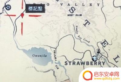 荒野大镖客2美洲狮必刷点(荒野大镖客2美洲狮必刷点怎么刷)