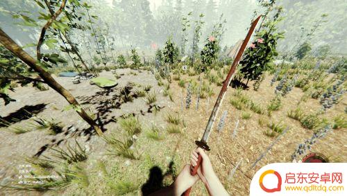 森林steam羽毛:探索自然与科技的完美结合