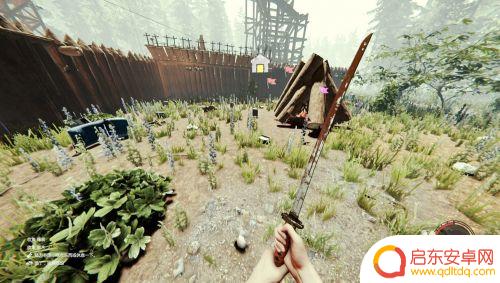森林steam羽毛：探索自然与科技的完美结合