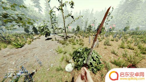 森林steam羽毛:探索自然与科技的完美结合