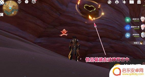 原神昙花花蕊在哪 《原神》优昙花的花蕊产地在哪