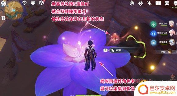 原神昙花花蕊在哪 《原神》优昙花的花蕊产地在哪