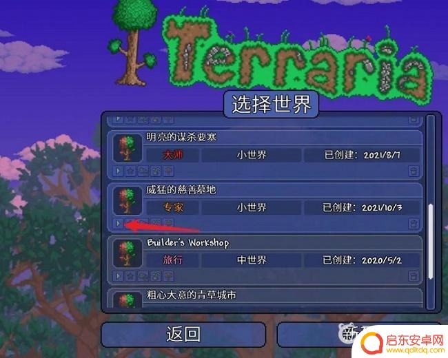 泰拉瑞亚有特效的时装 泰拉瑞亚红眼特效时装名称