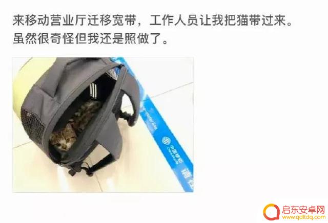 好冷好冷好冷抖音(抖音好冷好冷是什么歌)