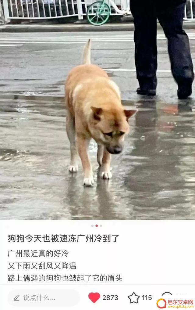 好冷好冷好冷抖音(抖音好冷好冷是什么歌)