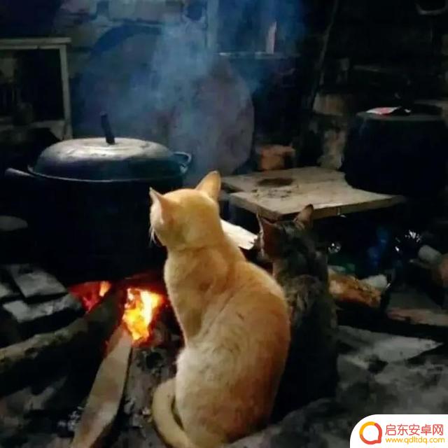 好冷好冷好冷抖音(抖音好冷好冷是什么歌)