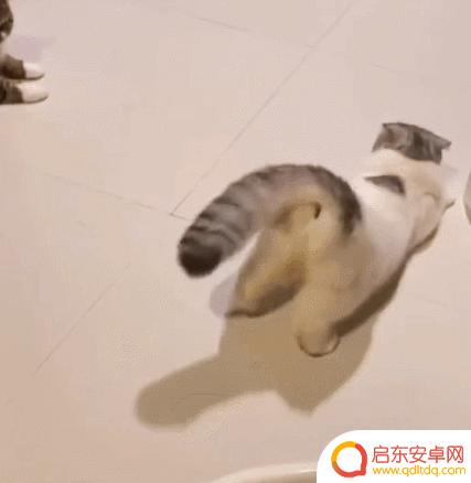 好冷好冷好冷抖音(抖音好冷好冷是什么歌)