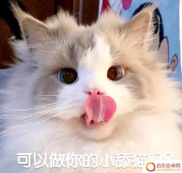 好冷好冷好冷抖音(抖音好冷好冷是什么歌)