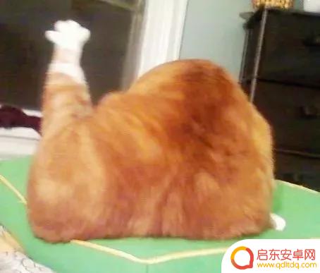 好冷好冷好冷抖音(抖音好冷好冷是什么歌)