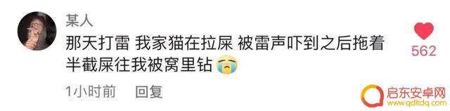 好冷好冷好冷抖音(抖音好冷好冷是什么歌)