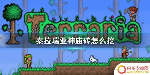 泰拉瑞亚神庙的砖怎么打开 《泰拉瑞亚》神庙砖怎么挖掘