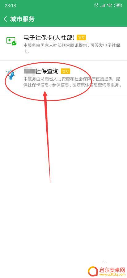 社保怎么在手机微信上自己缴费 如何在微信上进行社保缴纳