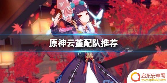 原神云堇平民配队 《原神》云堇阵容搭配攻略