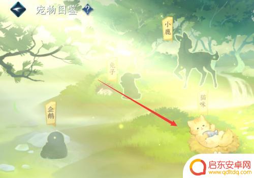 逆水寒手游爱宠怎么设置 逆水寒手游宠物怎么培养爱宠