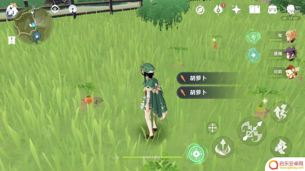 胡萝卜原神 原神哪里有胡萝卜