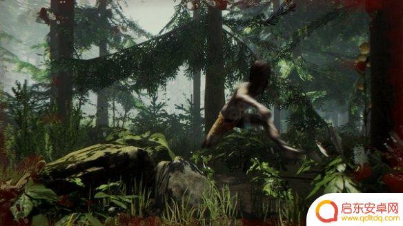 steam森林难度设置 《森林》游戏模式调整教程