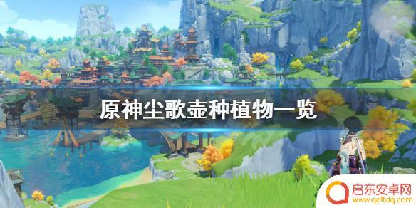 原神常见植物 《原神》家园种菜能种什么植物