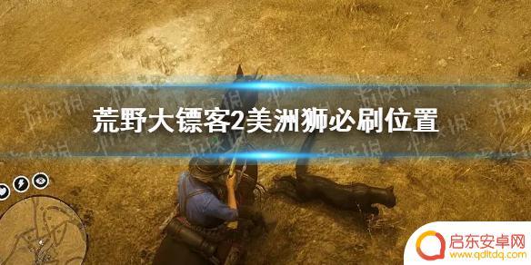 荒野大镖客美洲狮刷新点 《荒野大镖客2》美洲狮刷新位置攻略