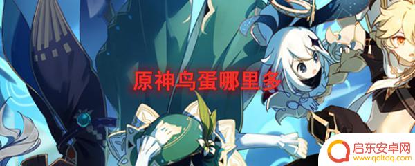 鸟蛋原神位置 原神鸟蛋掉落位置哪里多
