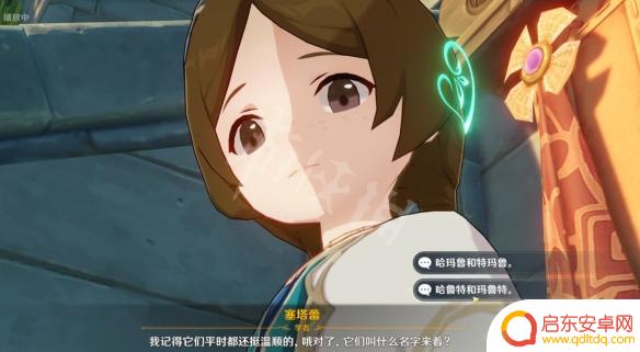 原神俩猫 塞塔蕾的猫名字介绍