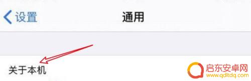 苹果手机的mac怎么看 苹果手机的MAC地址在哪个位置