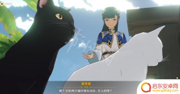原神俩猫 塞塔蕾的猫名字介绍