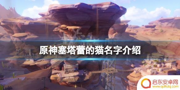 原神俩猫 塞塔蕾的猫名字介绍