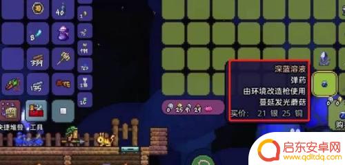 泰拉瑞亚蘑菇矿洞 泰拉瑞亚蘑菇地种植技巧