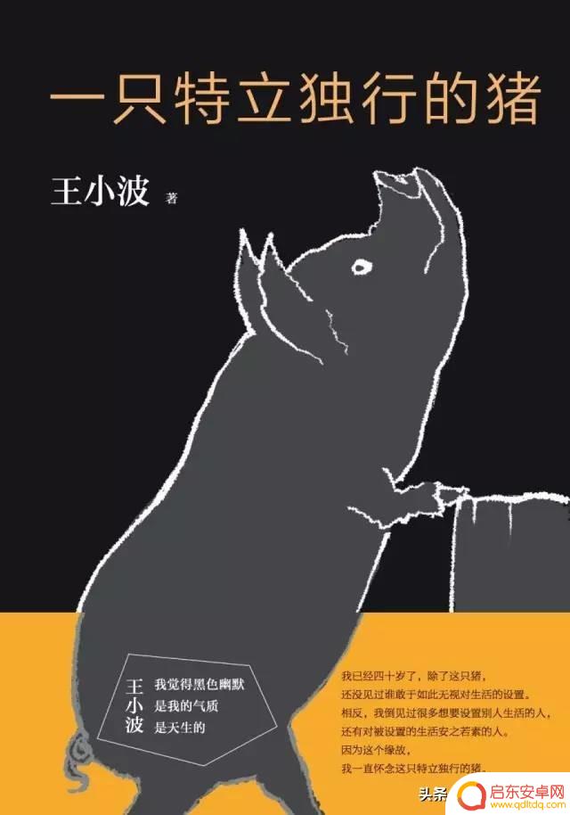 抖音随笔什么意思(抖音随手写)
