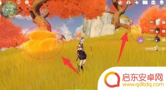 琥珀原神在哪里 原神琥珀石掉落地点在哪