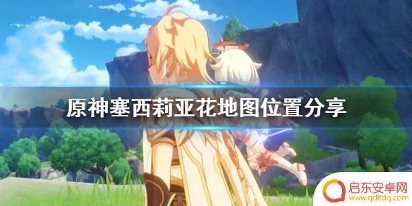 原神哪里有塞西莉亚花 塞西莉亚花在哪个地区