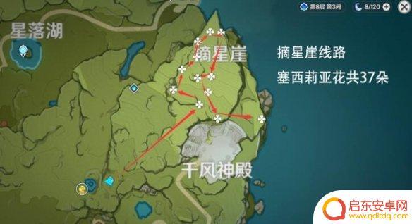 原神哪里有塞西莉亚花 塞西莉亚花在哪个地区