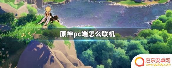 原神观察怎么联机开启 原神pc端怎么与好友一起联机