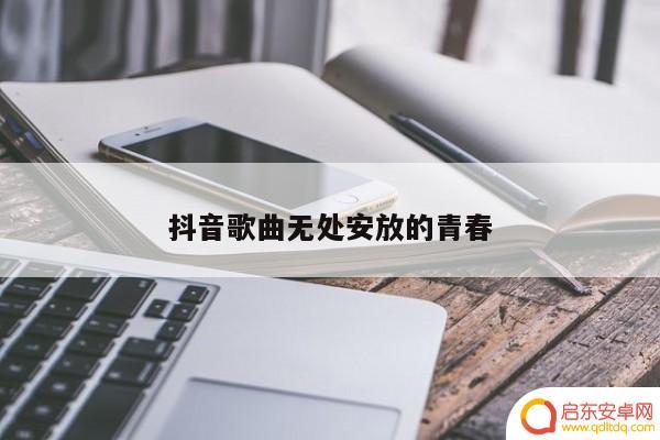 青春无处安放抖音片段(青春无处安放抖音片段视频)