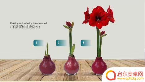 抖音南京网红姐姐(抖音南京网红姐姐是谁)