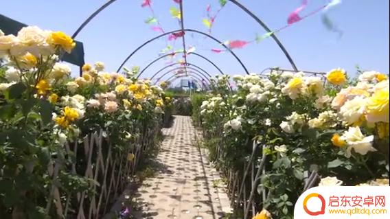 抖音道具特效迷宫(抖音迷幻特效)