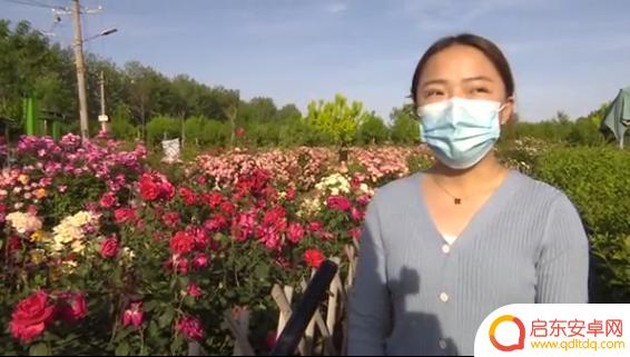 抖音道具特效迷宫(抖音迷幻特效)