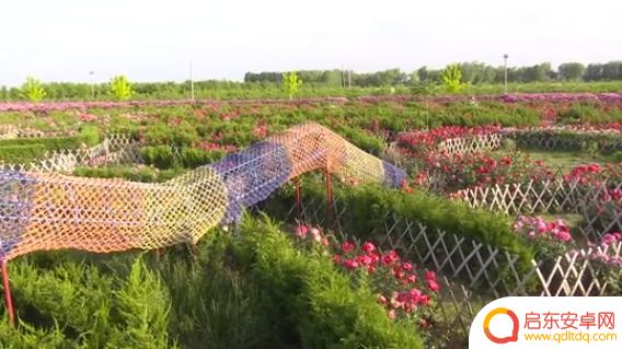 抖音道具特效迷宫(抖音迷幻特效)
