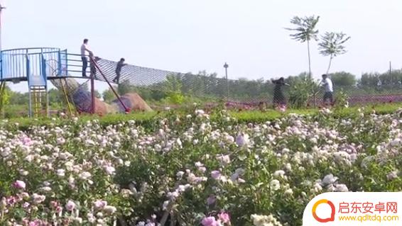 抖音道具特效迷宫(抖音迷幻特效)