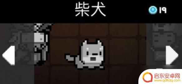 元气骑士怎么切换宠物 元气骑士怎么换宠物