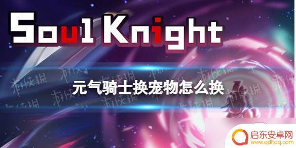 元气骑士怎么切换宠物 元气骑士怎么换宠物